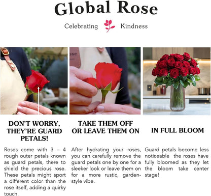 Elegant Farm-Fresh White Rose Bouquet