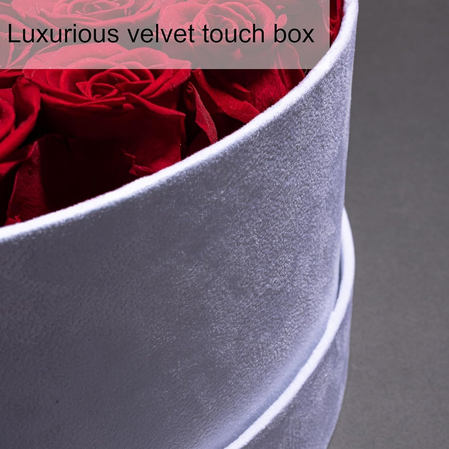 Regal Blue Preserved Rose Collection