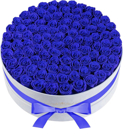 Regal Blue Preserved Rose Collection