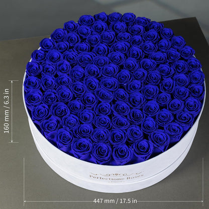 Regal Blue Preserved Rose Collection