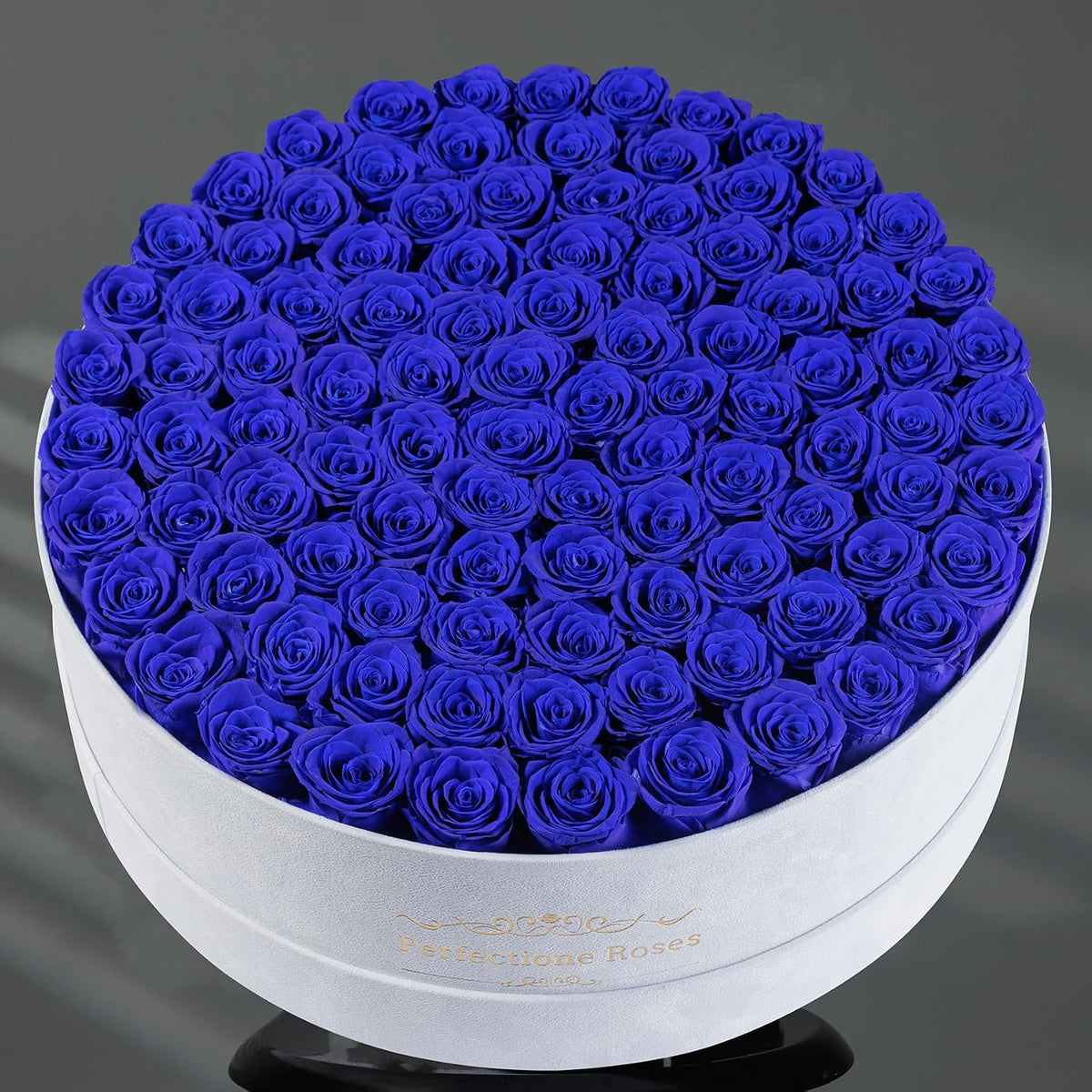 Regal Blue Preserved Rose Collection