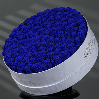 Regal Blue Preserved Rose Collection