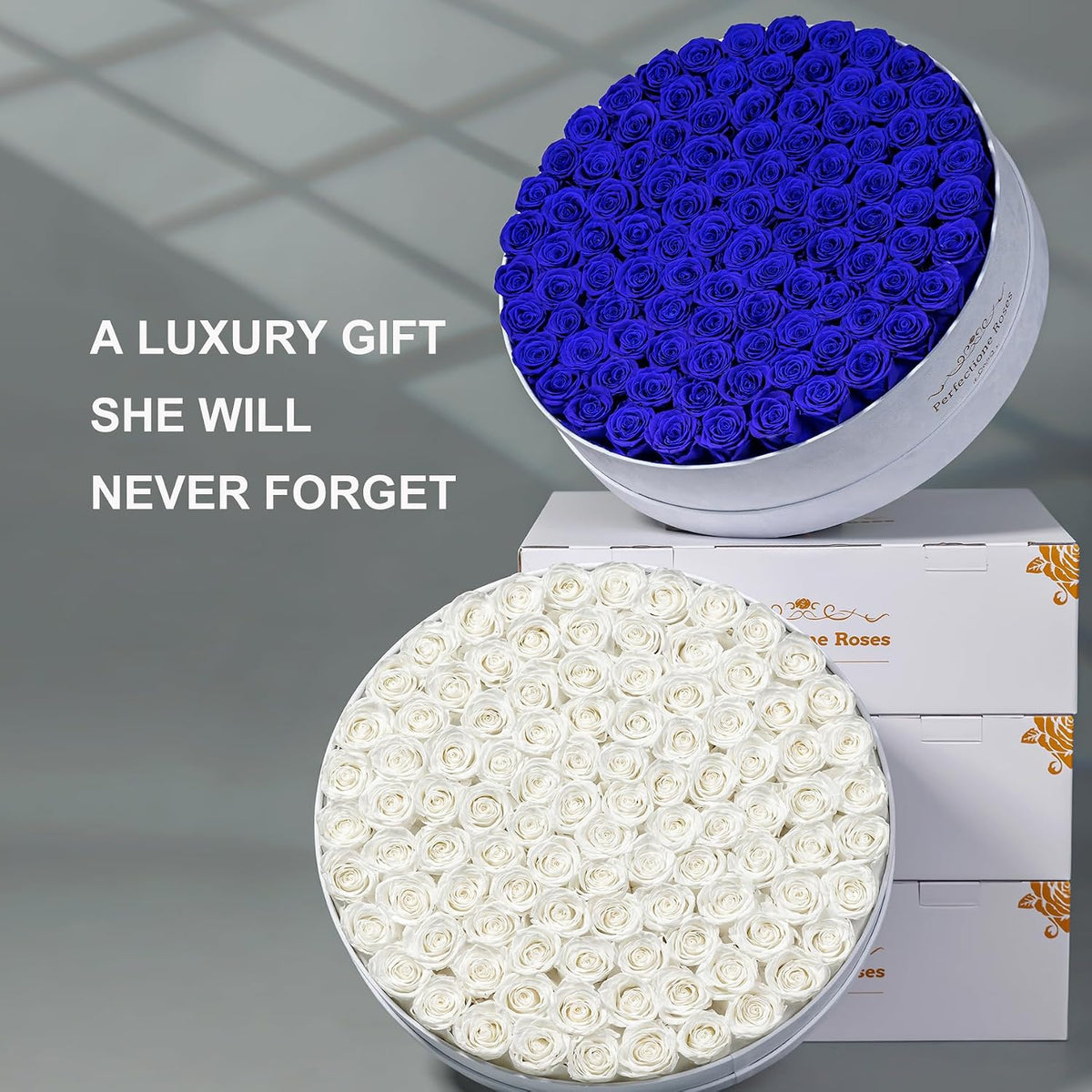 Regal Blue Preserved Rose Collection