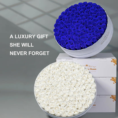 Regal Blue Preserved Rose Collection