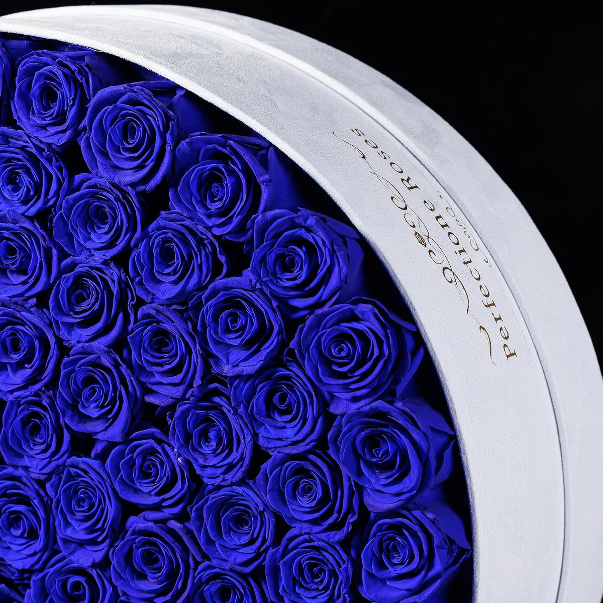 Regal Blue Preserved Rose Collection